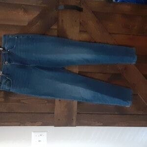 NWT  Bandolino Amy Straight 14 16 1/2 Waist Inseam  29 1/2